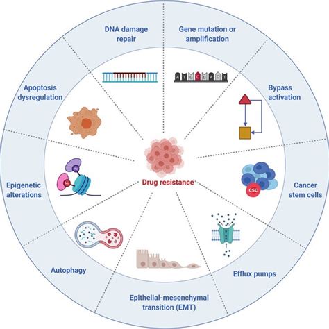 (PDF) Small molecules in targeted cancer therapy: advances, challenges, and future perspectives