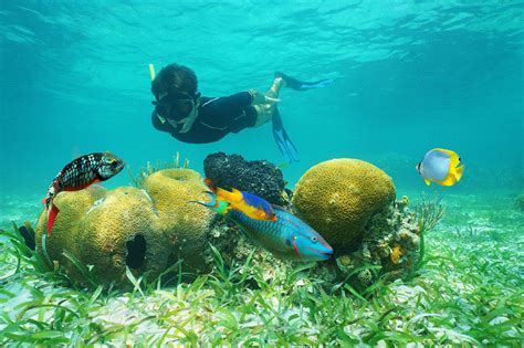 A Complete Guide to Belize Snorkeling Tours for Beginners