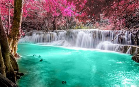 waterfall, Forest, Colorful, Nature, Thailand, Trees, Landscape, Pink, Turquoise, White ...