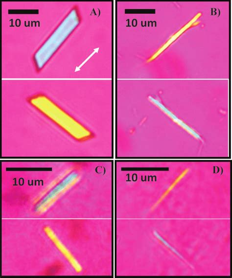 Compensated polarized optical images of CPPD and MSUM crystals. (A, B)... | Download Scientific ...