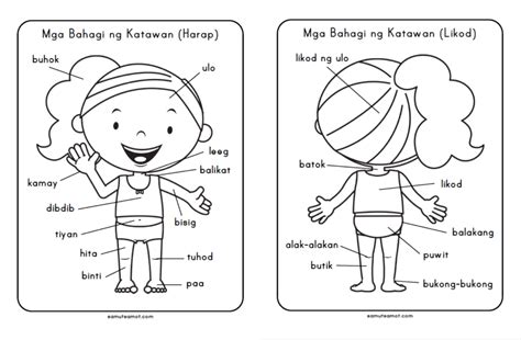 Mga Bahagi Ng Katawan Flashcards Preschool Twinkl | Porn Sex Picture