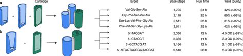 Schematic representation of the oligopeptides and oligonucleotides ...