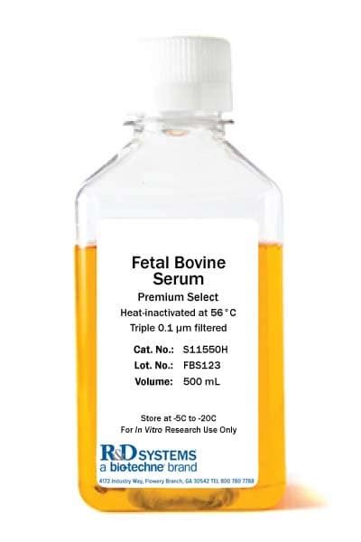 Fetal Bovine Serum - Premium, Heat Inactivated S11150H: R&D Systems