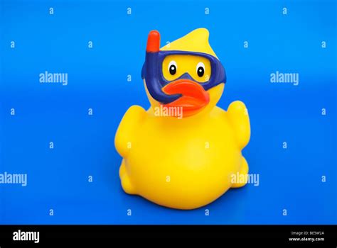 Yellow rubber duck with diving goggles, symbolic picture for holiday ...