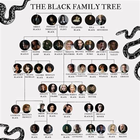 the Black Family Tree | Harry potter family tree, Harry potter sirius, Harry potter