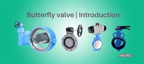 What is Butterfly valve? An introduction guide