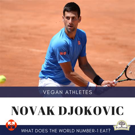 Vegan Athlete: Novak Djokovic. What Does the Tennis World Number-1 Eat ...