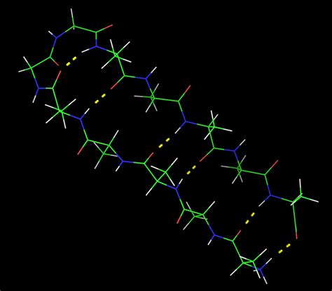 What Is Bioinformatics?: The Protein Folding Answer