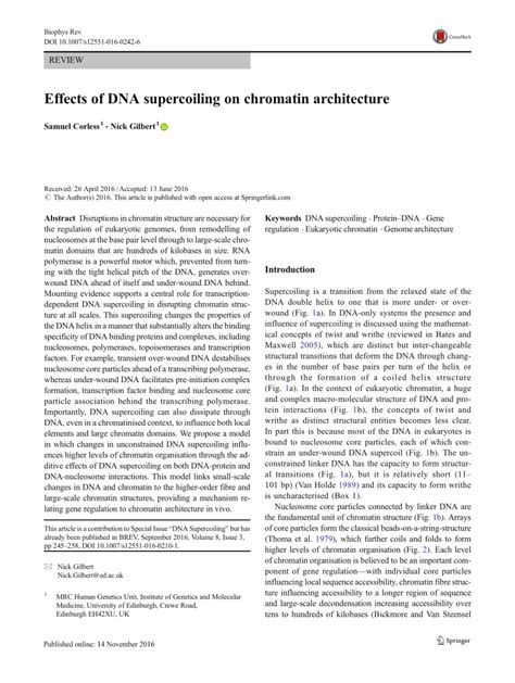 (PDF) Effects of DNA supercoiling on chromatin architecture