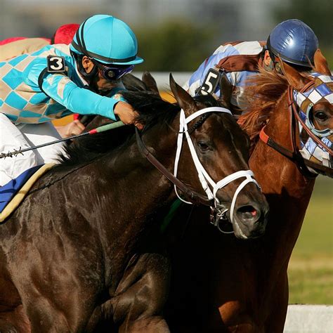 Gulfstream Park: Competitive Field Lines Up in Ft. Lauderdale | News ...