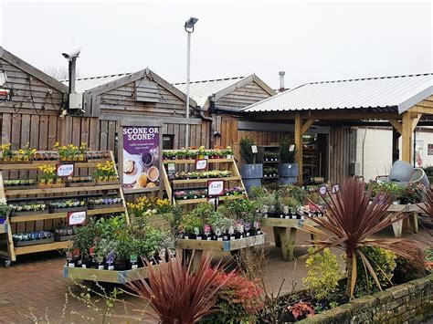 Podington garden centre marks year of new ownership with celebration weekend | Northamptonshire ...