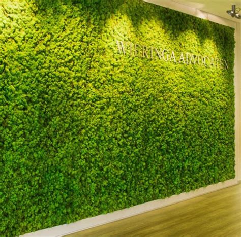 Reindeer Moss Walls | Moss wall, Green wall decor, Vertical garden