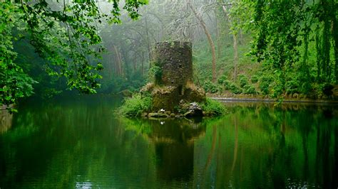 Mystic Forest - Explore Sintra’S Fairy Tale Pena Palace - (Shared Tour ...