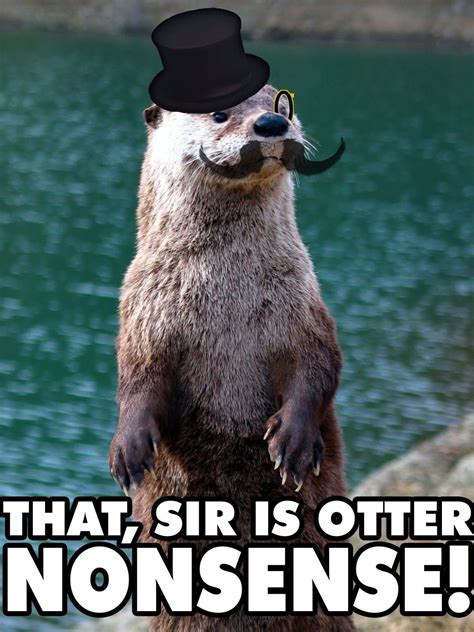 :) Baby Otters, Otters Funny, Otters Cute, Funny Animal Memes, Cat ...