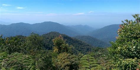 Bukit Fraser, Malaysia 2023: Best Places to Visit - Tripadvisor