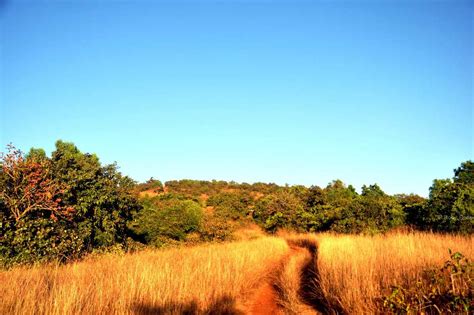 Chandoli National Park, Maharashtra (2018) - Images, Timings | Holidify