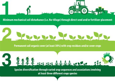 Principles of Conservation Agriculture | Download Scientific Diagram