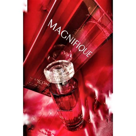 Magnifique Lancôme perfume - a fragrance for women 2008