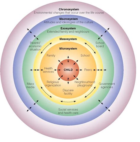 Bronfenbrenner’s Biblical Interpretation Model — Musings of a Theologist