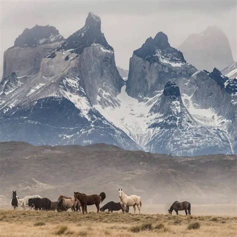 EcoCamp Patagonia (Chile): Hotel Review and Travel Guide