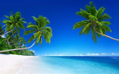 Tropical Beach Wallpapers - Top Free Tropical Beach Backgrounds - WallpaperAccess