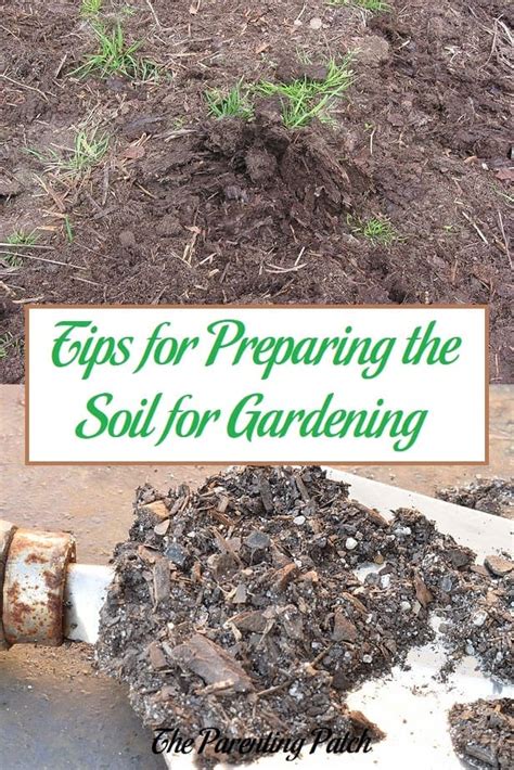 Tips for Preparing the Soil for Gardening