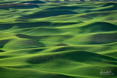 The Palouse Hills of Washington State - Oregon Photography