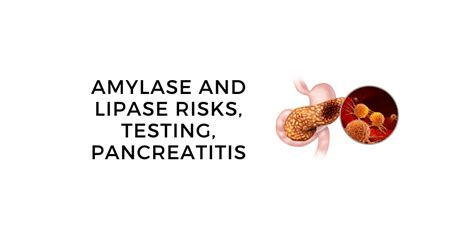 Amylase and Lipase Risks: Pancreatitis, Digestive Issues and More