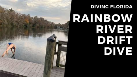 Diving Florida: Rainbow River Drift Dive December 2019 - YouTube