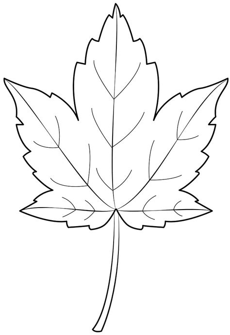 Perfect Maple Leaf coloring page - Download, Print or Color Online for Free