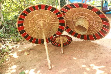 Olakkuda Ezhunnallath, a festival of palm leaf umbrellas, aims to ...