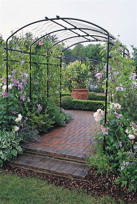 Agriframes Steel Pergolas - 4' to 10' widths available - 4 styles ...