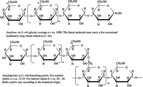 Structure of amylopectin and amylose in starch. Reused with permission ...