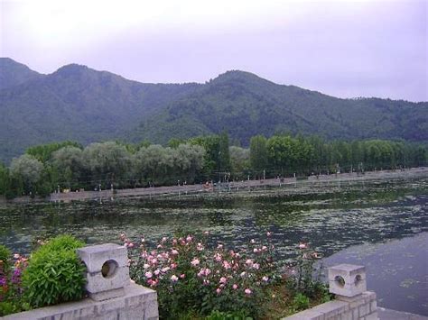 CENTAUR LAKE VIEW HOTEL (Srinagar, Kashmir) - Hotel Reviews, Photos ...