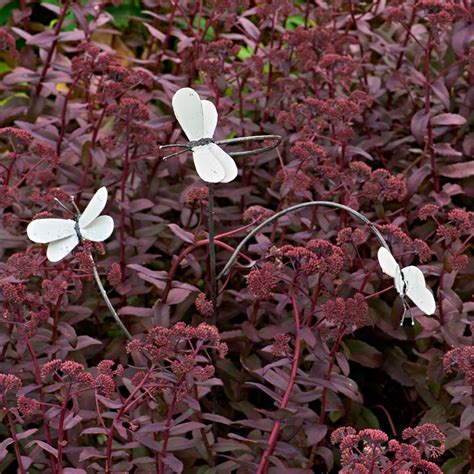 White Butterflies Garden Stake | White Flower Farm