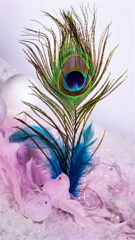 Peacock Feather Wallpaper Download | MobCup