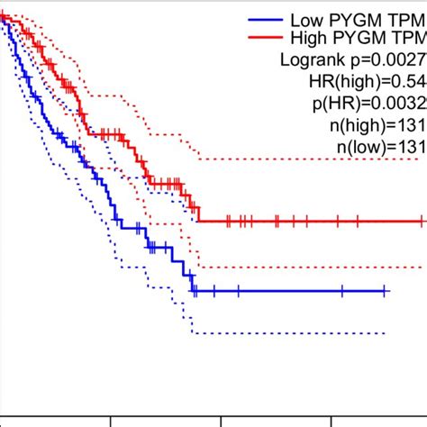 Overall survival rate of patients with sarcoma, depending on the PYGM... | Download Scientific ...