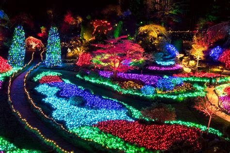 Christmas Light Up at Butchart Gardens