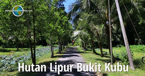 Hutan Lipur Bukit Kubu, Kuala Perlis