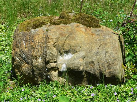 Free Images : forest, grass, rock, leaf, flower, trunk, old, stone, moss, wildlife, statue ...