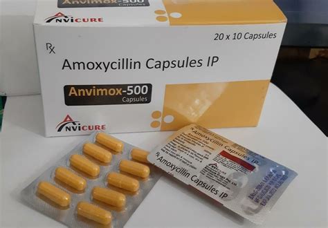 Anvimox-500 500 Mg Amoxicillin Capsules IP at Rs 1400/box in Panchkula ...