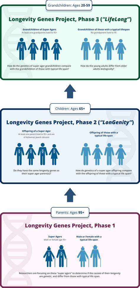 LifeLong Study | Institute for Aging Research | Albert Einstein College of Medicine | Montefiore ...