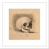 Artery8 Landseer Human Skull Anatomy Front View Drawing 8X8 Inch Square ...