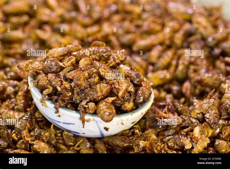 Fried bugs hi-res stock photography and images - Alamy