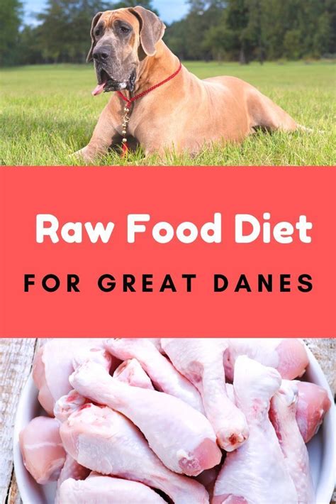 Great Dane raw food diet | Raw dog food recipes, Raw food diet, Raw dog ...