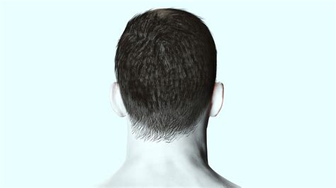 ArtStation - Realistic Male Hair | Game Assets