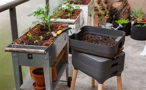 Dammann's Garden Company – Worm Composting for Your Garden