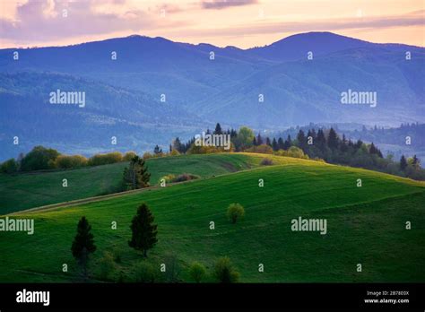 mountainous countryside in springtime at dusk. trees on the rolling ...