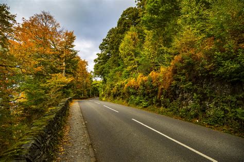 Autumn Forest Clean Road Free Stock Photo - Public Domain Pictures