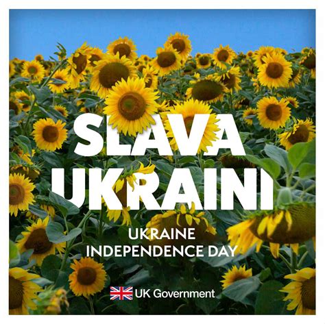 Ukrainian Independence Day | Suzanne Webb